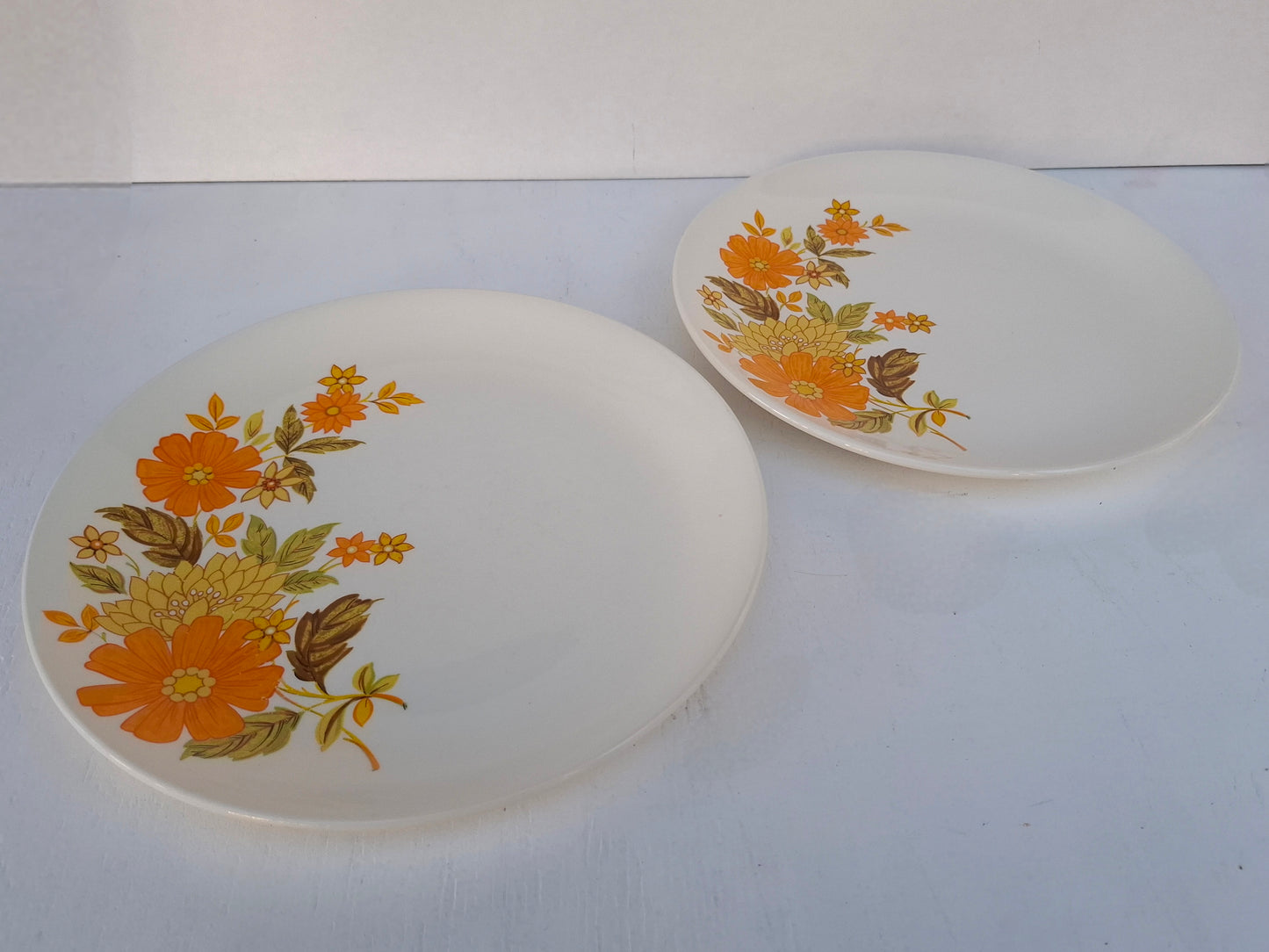 Pair of Crown Lynn Fragrance Dinner Plates