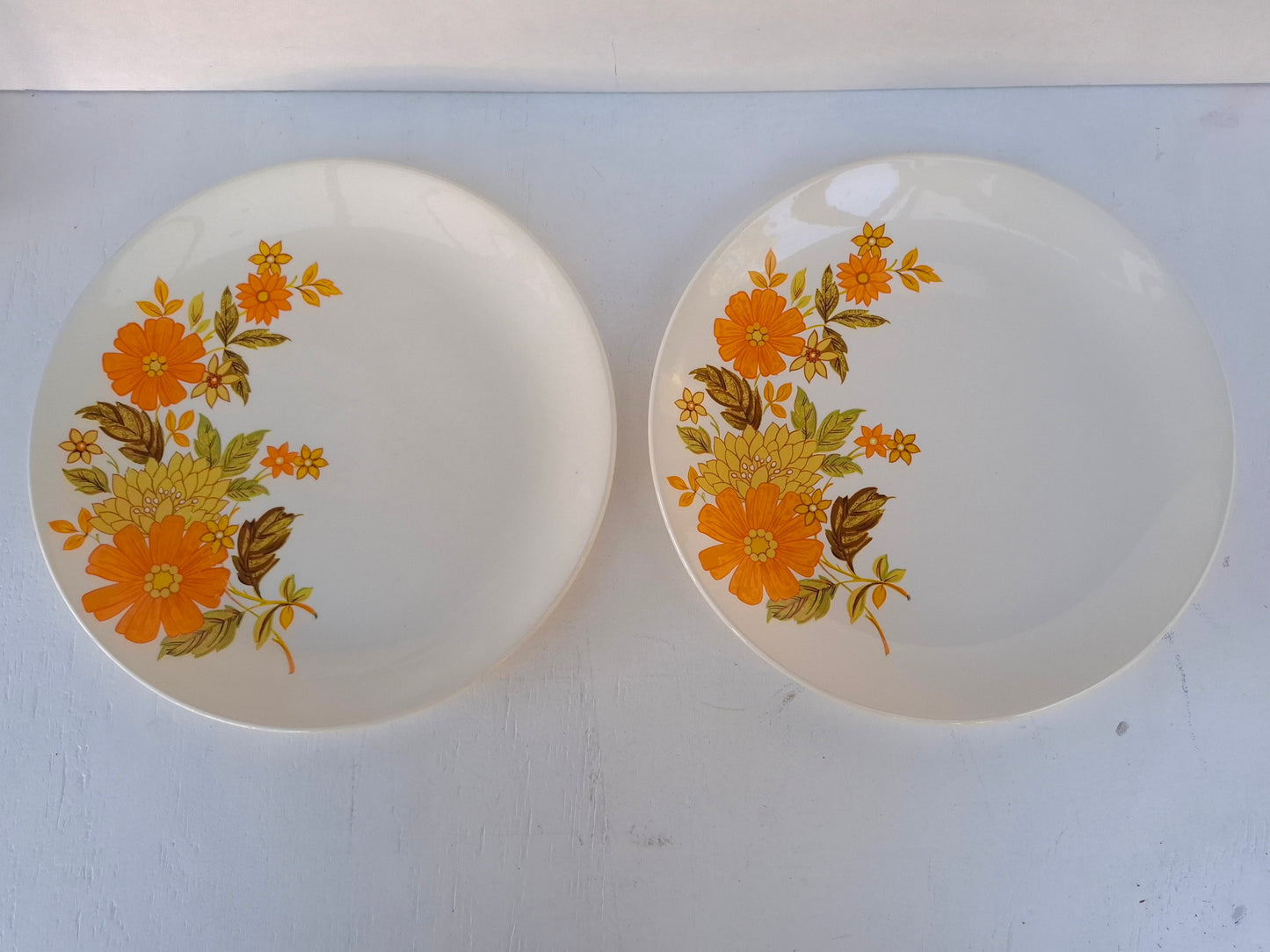 Pair of Crown Lynn Fragrance Dinner Plates