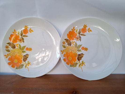 Pair of Crown Lynn Fragrance Dinner Plates
