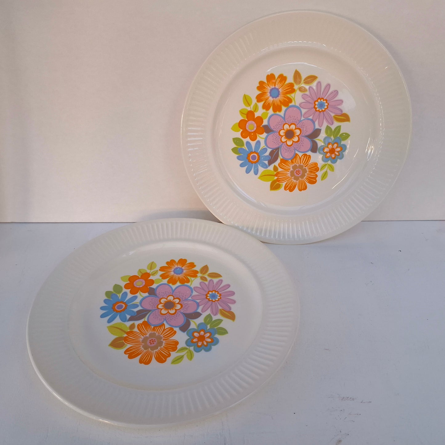 Pair of Crown Lynn Spring Song Dinner Plates