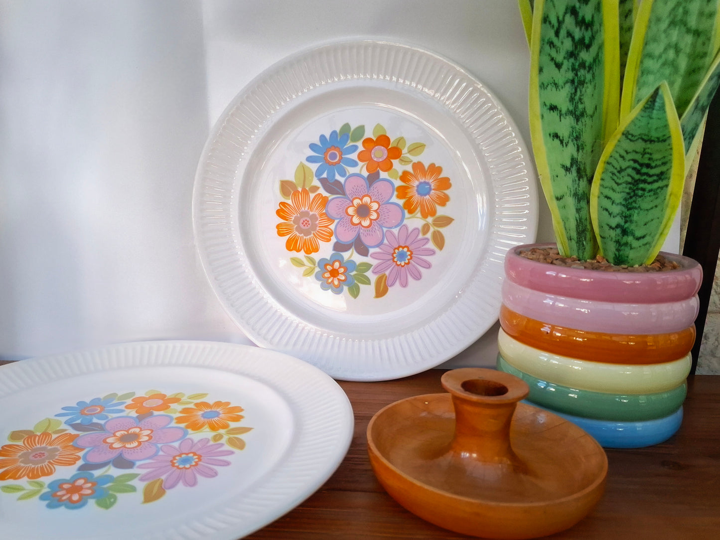 Pair of Crown Lynn Spring Song Dinner Plates