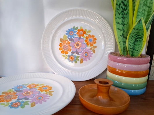 Pair of Crown Lynn Spring Song Dinner Plates
