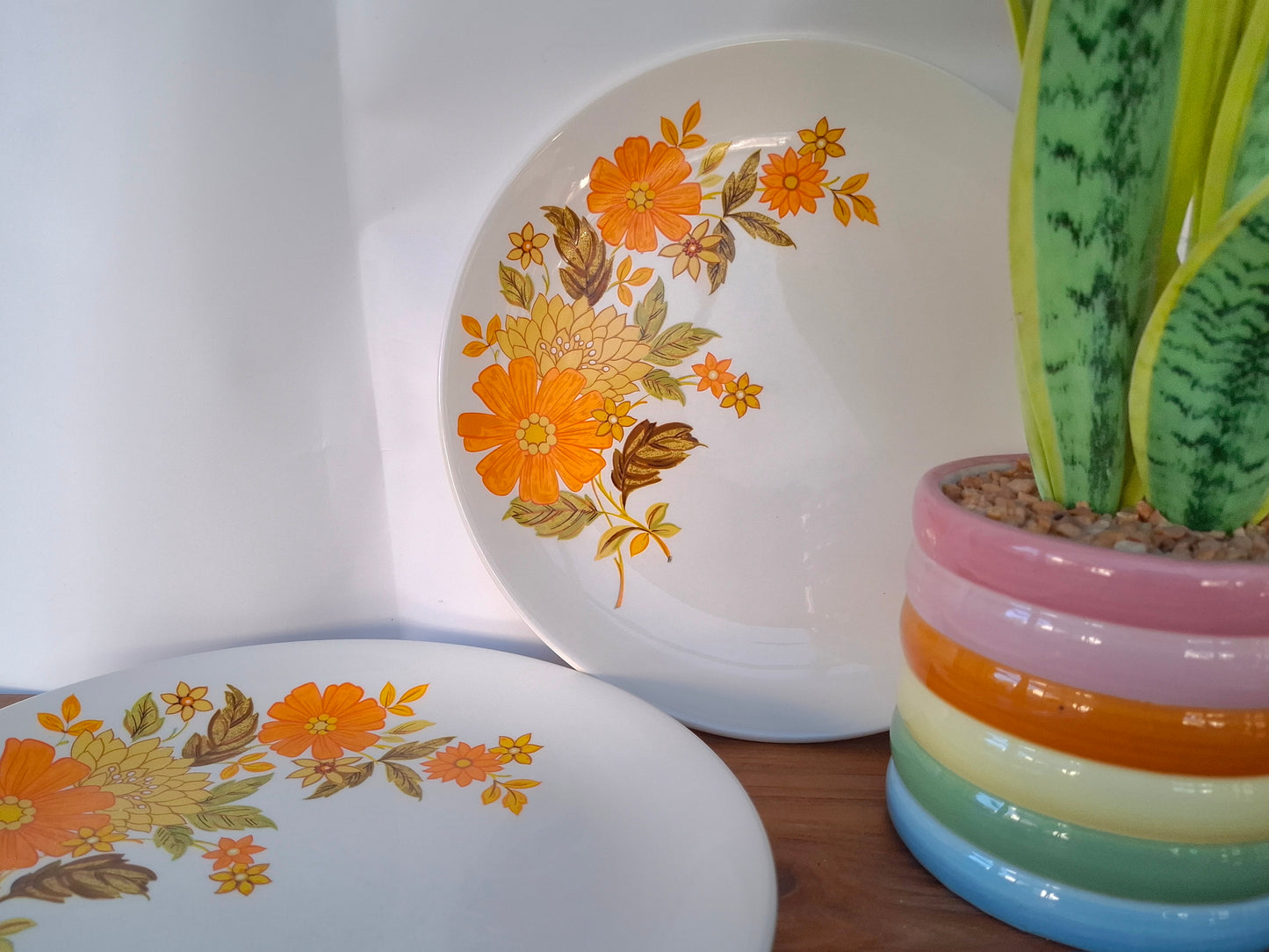Pair of Crown Lynn Fragrance Dinner Plates