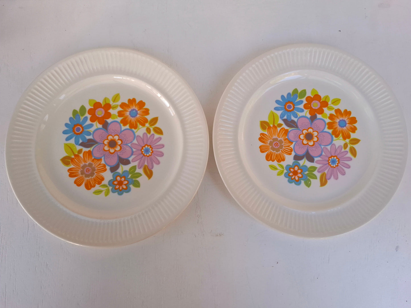 Pair of Crown Lynn Spring Song Dinner Plates