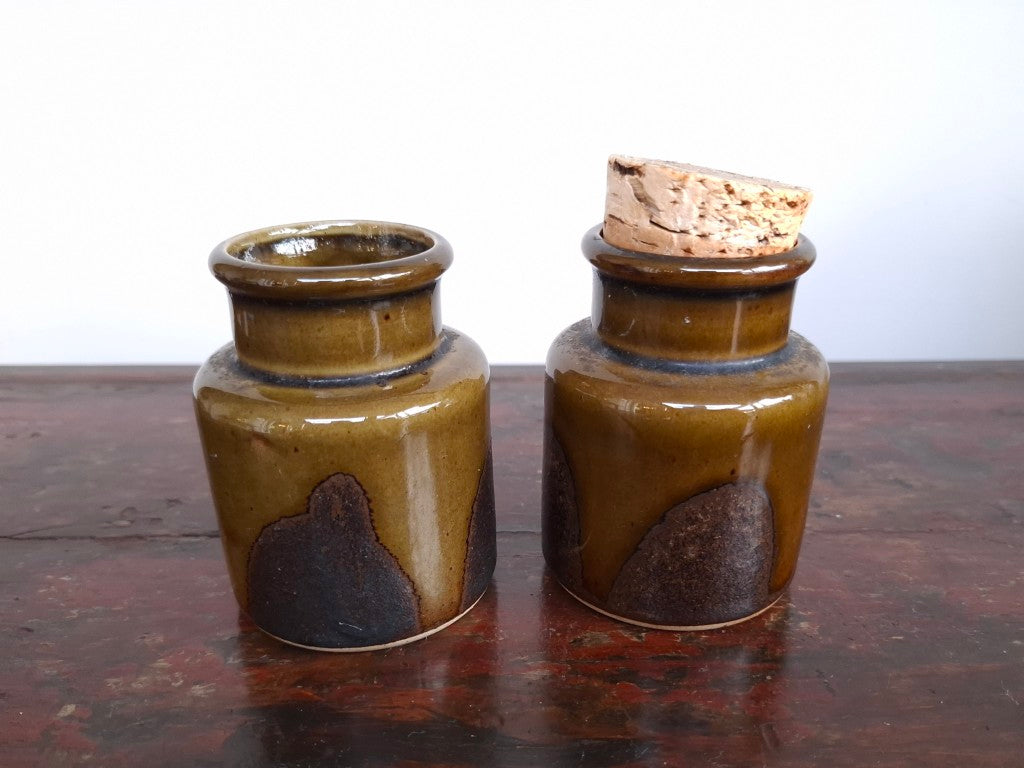 Pair of Retro Dark Olive Green Spice Jars