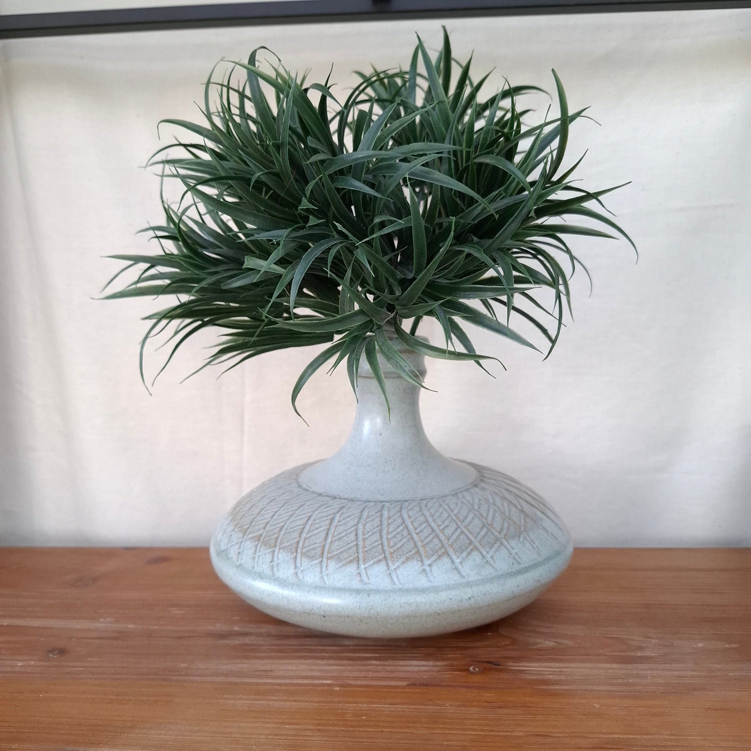 Hanging plant in a textured white pot against a neutral background