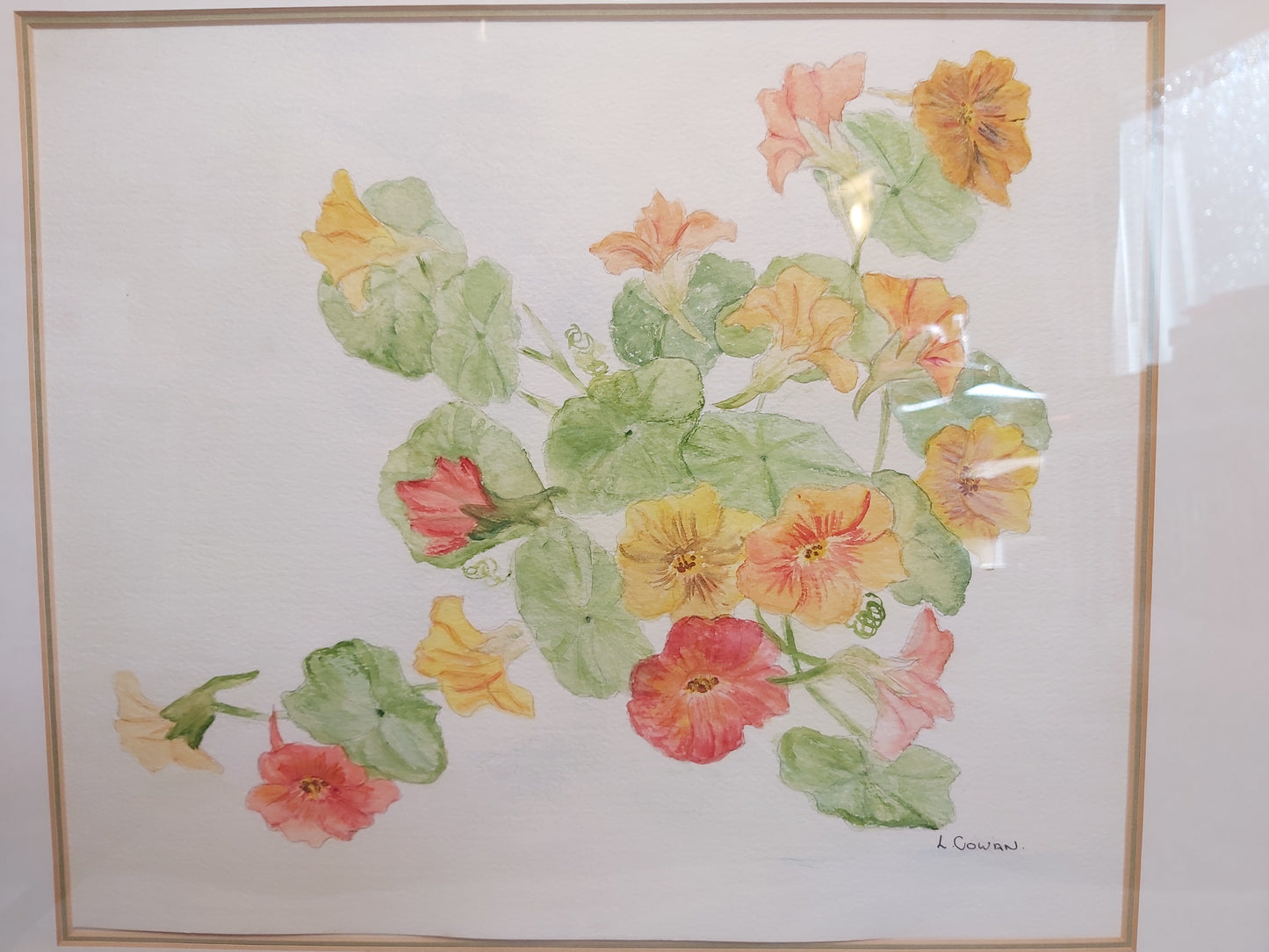 Nasturtiums Watercolour by L Cowan