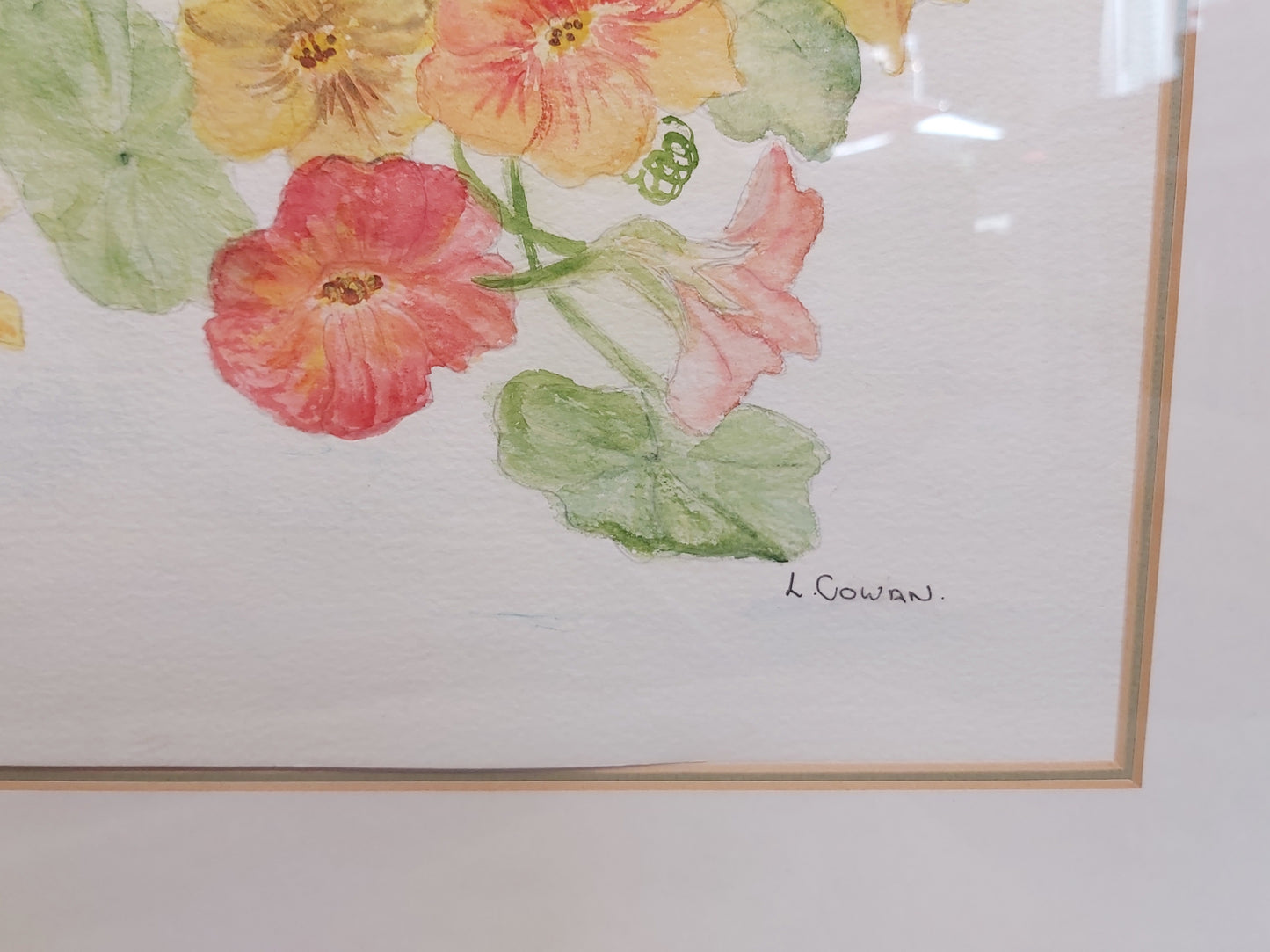 Nasturtiums Watercolour by L Cowan