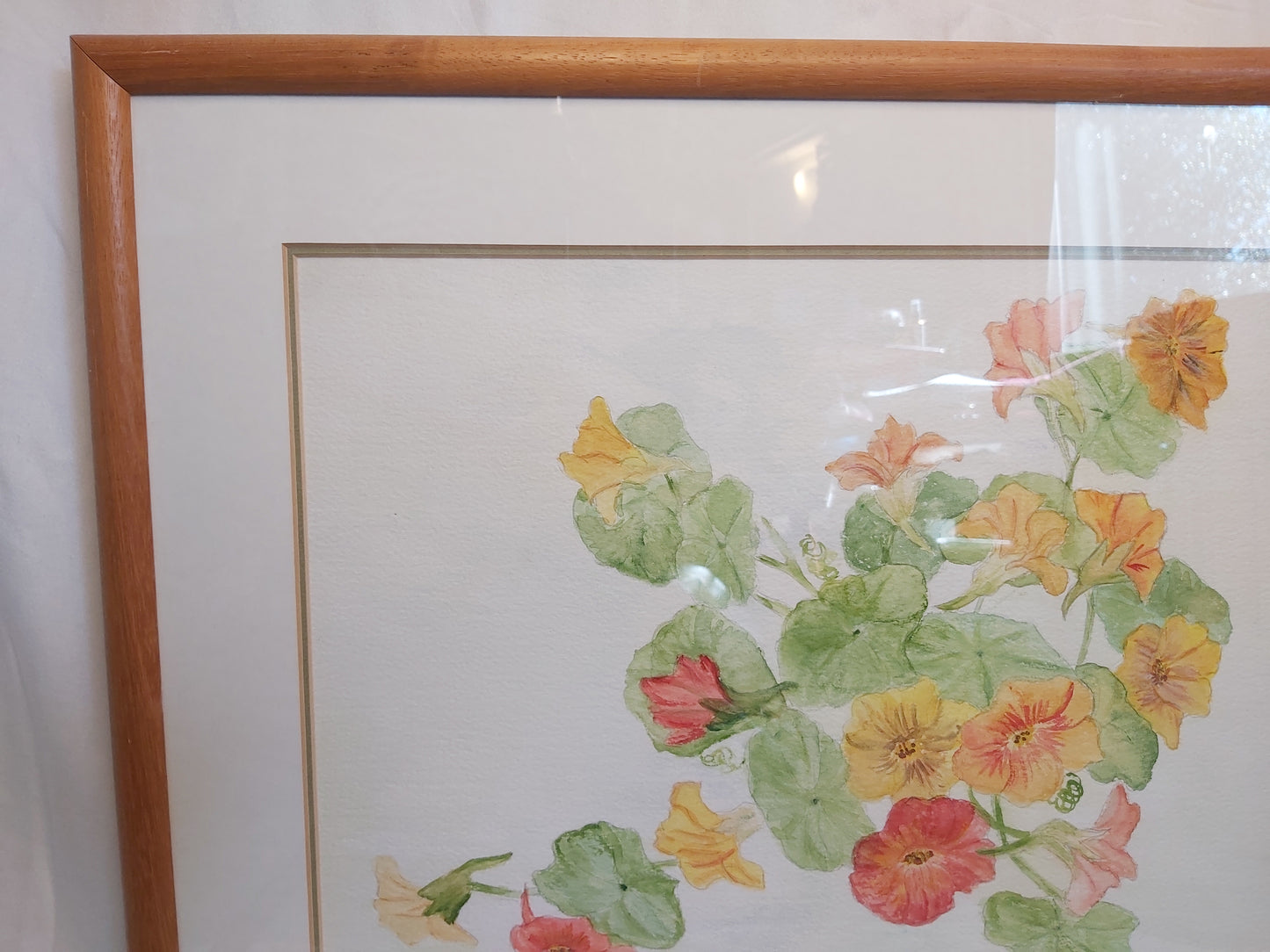 Nasturtiums Watercolour by L Cowan