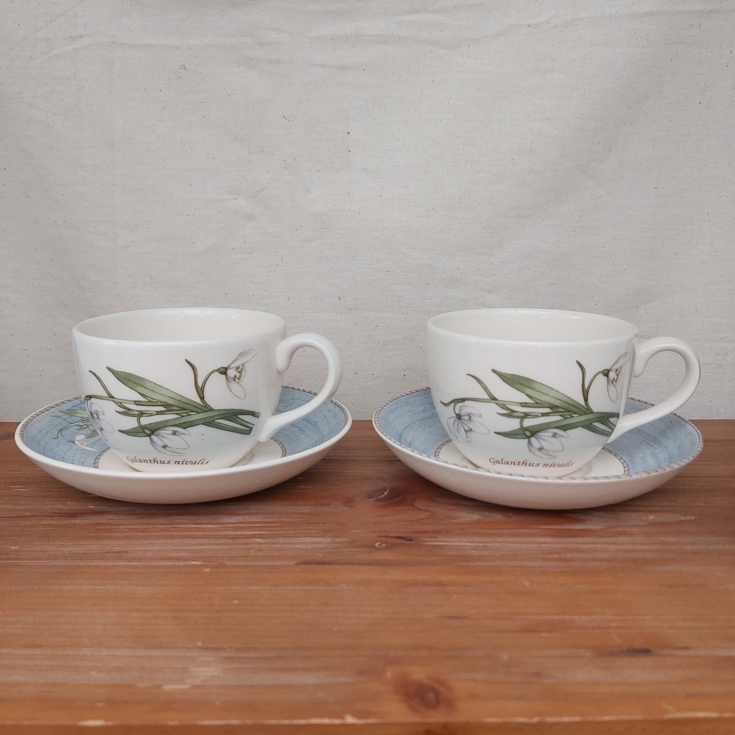 Pair of Wedgwood Sarah's Garden Snowdrop Cups & Saucers