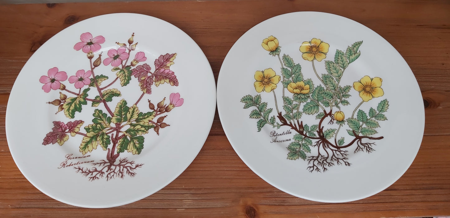 Pair of Queens Flora Botanica Lunch Plates