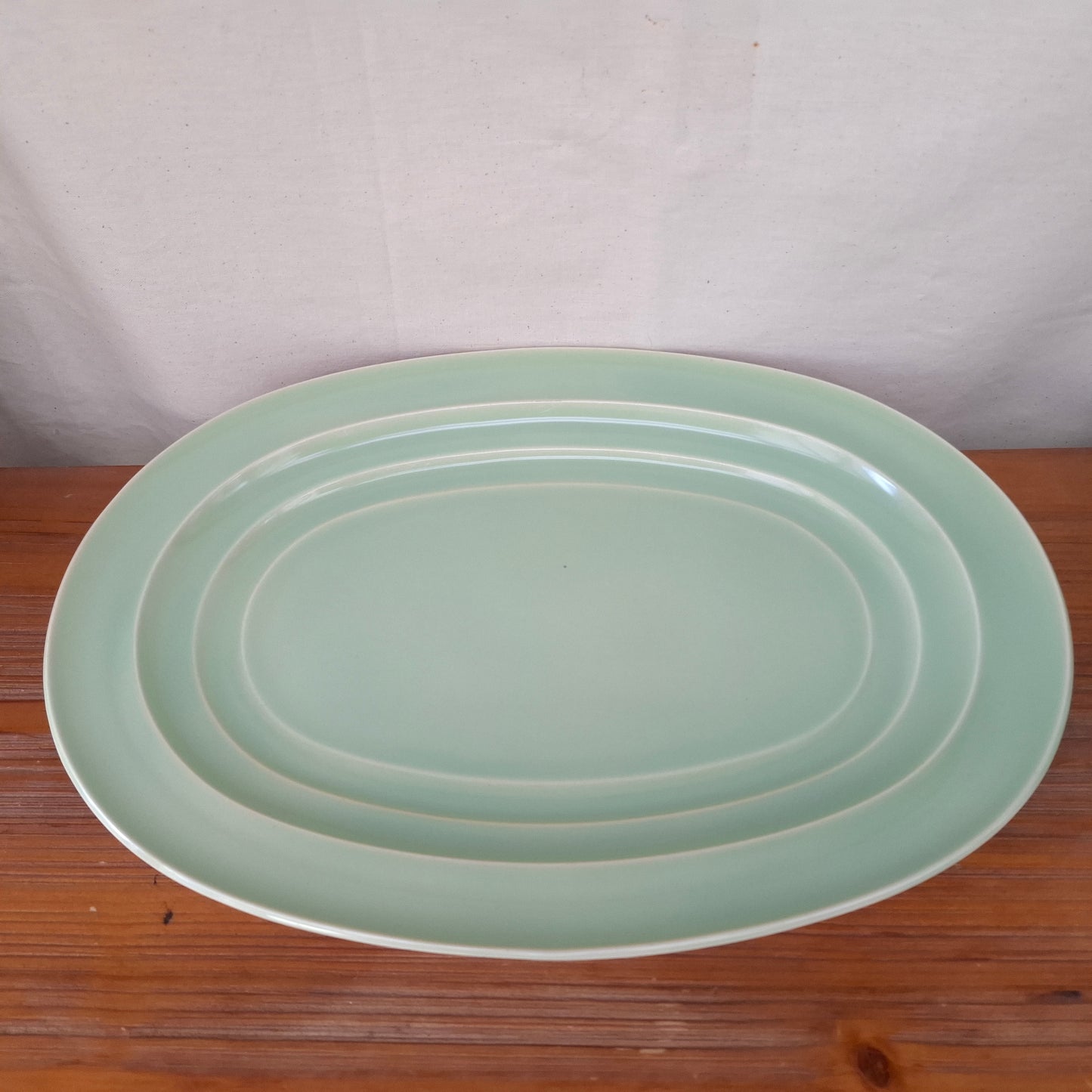 Large Branksome China Twintone Graceline Oval Serving Plate