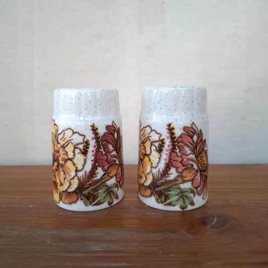 Vintage Palissy Royal Worcester Salt & Pepper Shakers