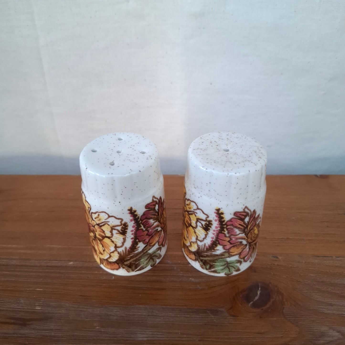 Vintage Palissy Royal Worcester Salt & Pepper Shakers