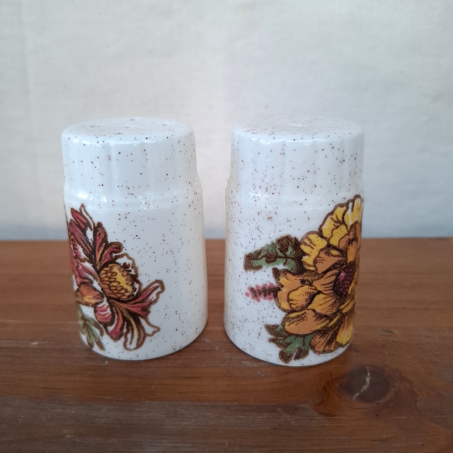 Vintage Palissy Royal Worcester Salt & Pepper Shakers