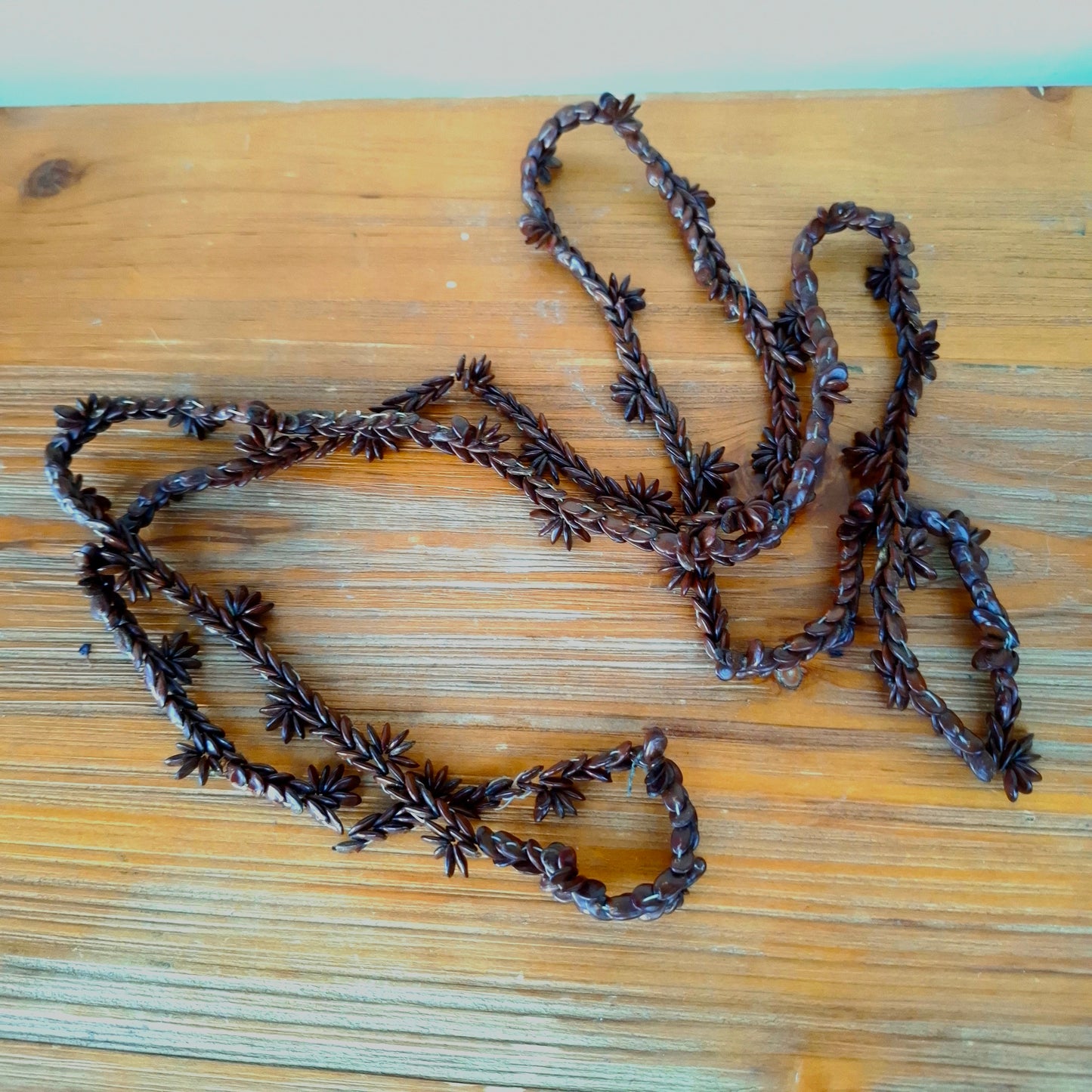 Vintage Apple Seed Necklace