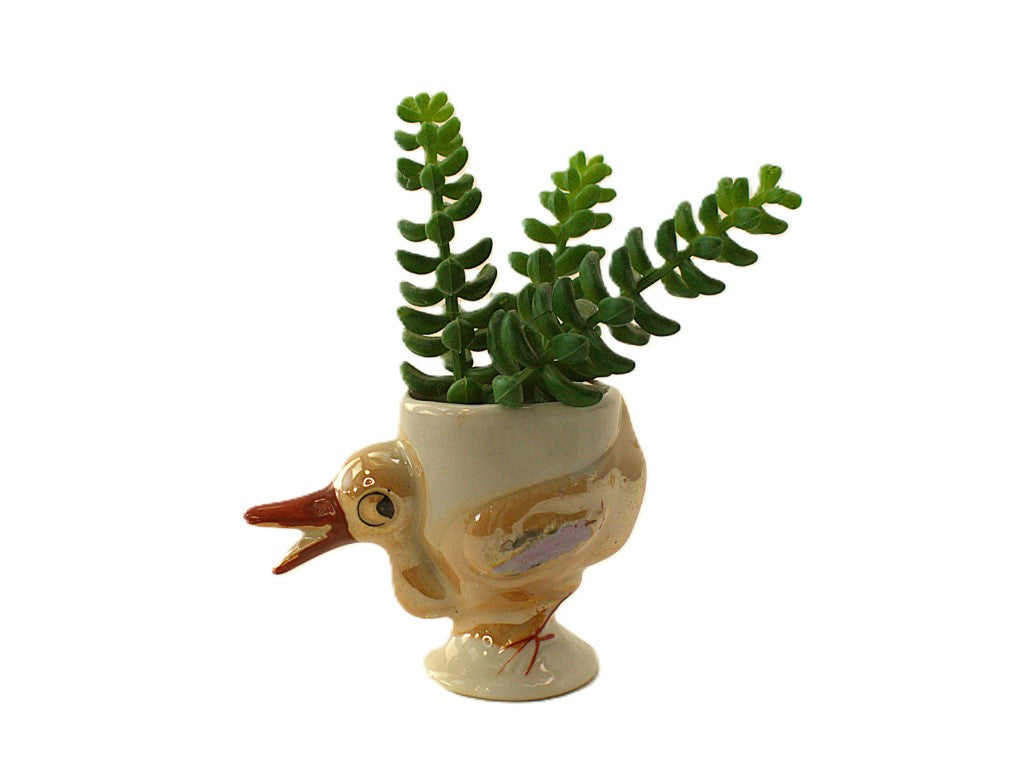 Kitsch Vintage Lustreware Duck Eggcup Planter