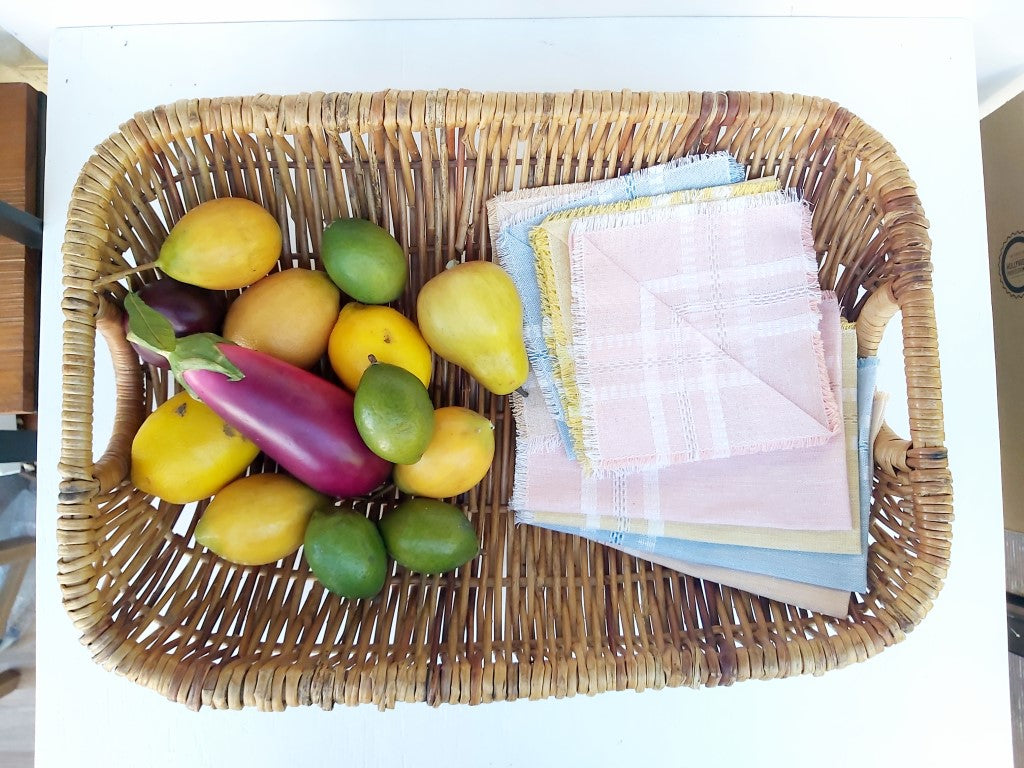 Beautiful Pastel Placemat & Napkin Set