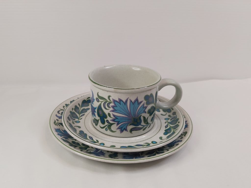 Vintage Midwinter Caprice Cup, Saucer & Side Plate