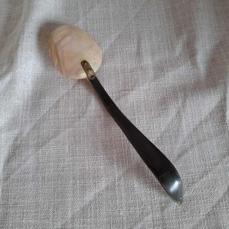 Victorian Mother of Pearl Serving Spoon