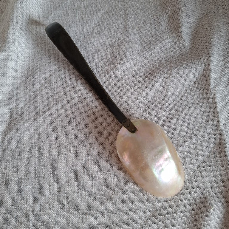 Victorian Mother of Pearl Serving Spoon