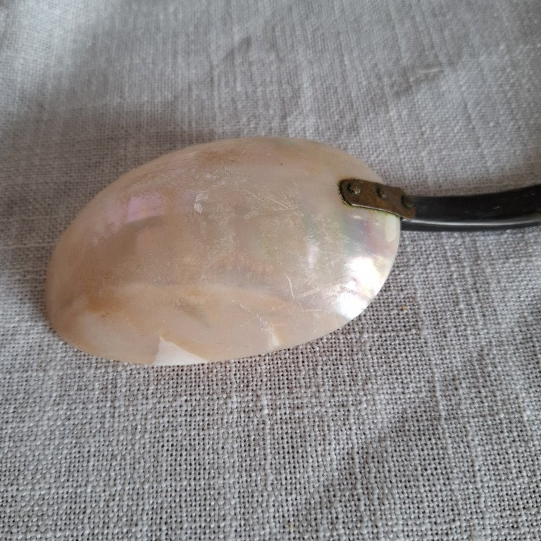 Victorian Mother of Pearl Serving Spoon