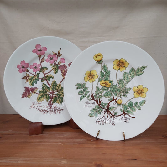 Pair of Queens Flora Botanica Lunch Plates
