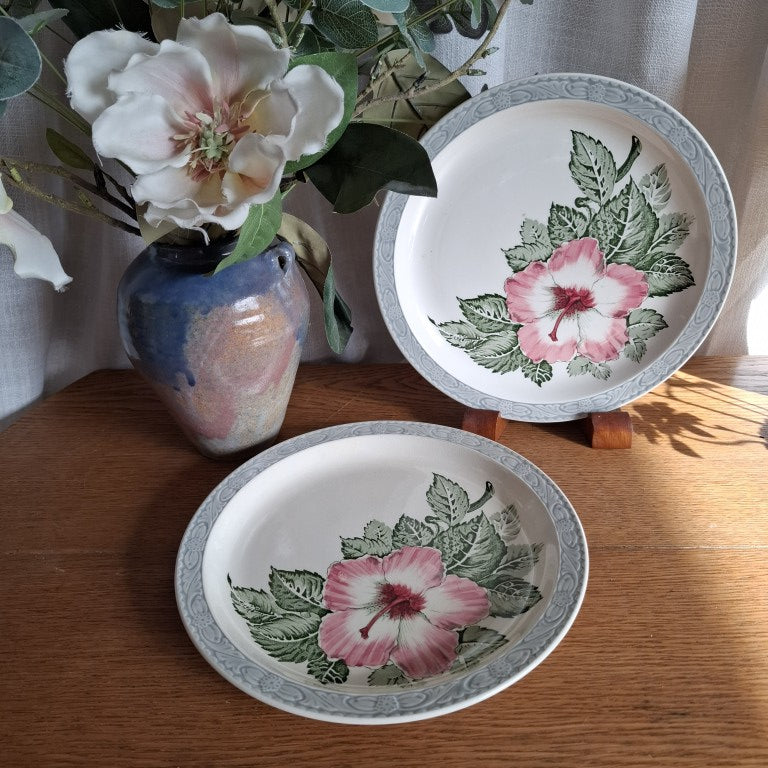 Pair of English Royal Tudor Barker Bros Hibiscus Plates