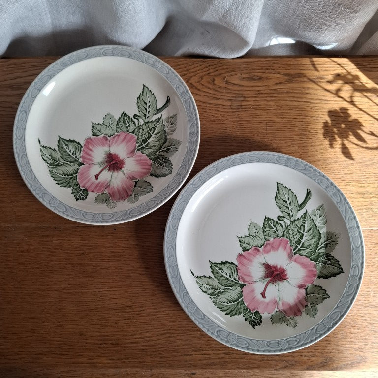 Pair of English Royal Tudor Barker Bros Hibiscus Plates