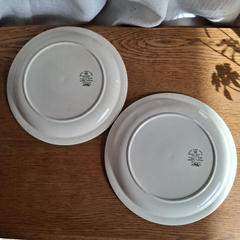 Pair of English Royal Tudor Barker Bros Hibiscus Plates