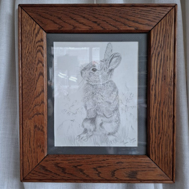Framed Rabbit Pencil Drawing Signed Monica Davies 1978