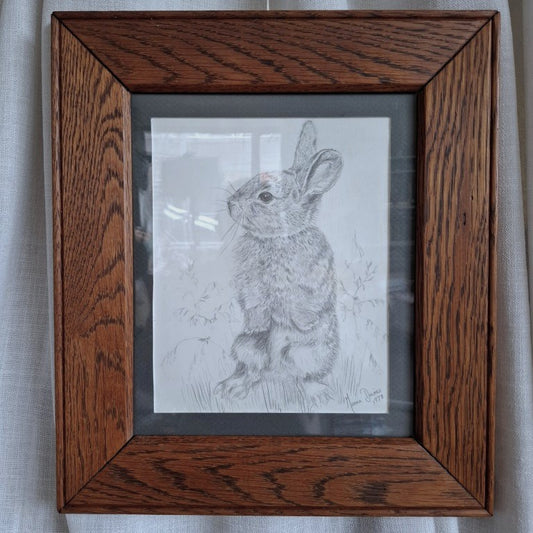 Framed Rabbit Pencil Drawing Signed Monica Davies 1978