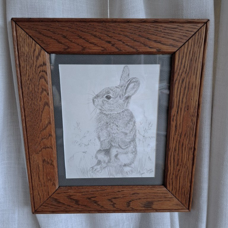 Framed Rabbit Pencil Drawing Signed Monica Davies 1978
