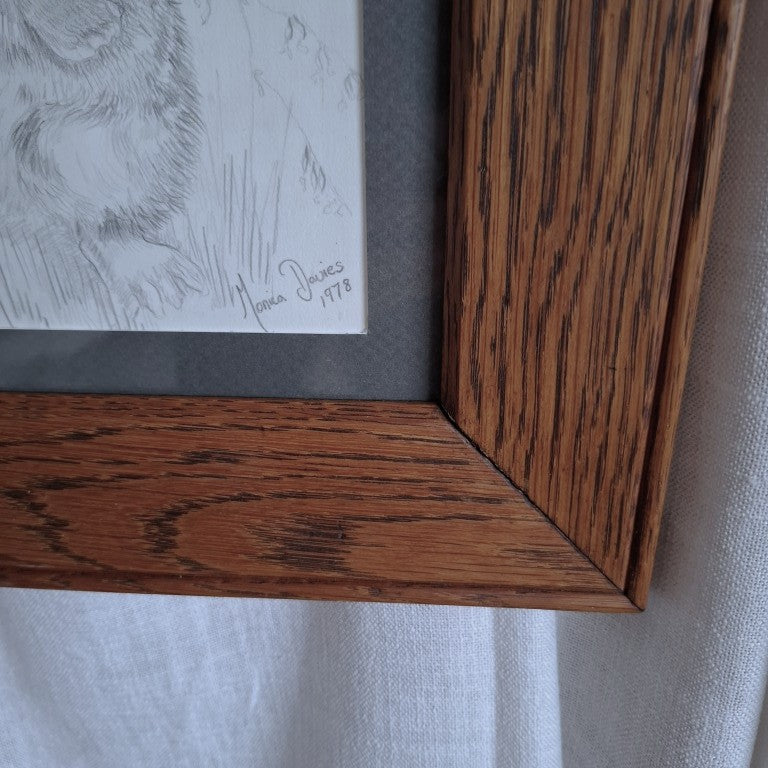 Framed Rabbit Pencil Drawing Signed Monica Davies 1978