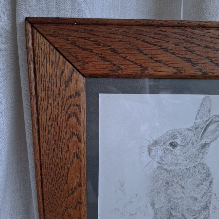 Framed Rabbit Pencil Drawing Signed Monica Davies 1978