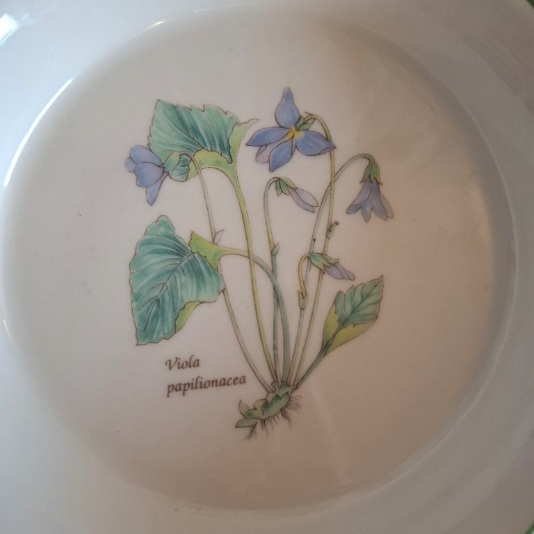 Viola Papilionacea English Porcelain Dish