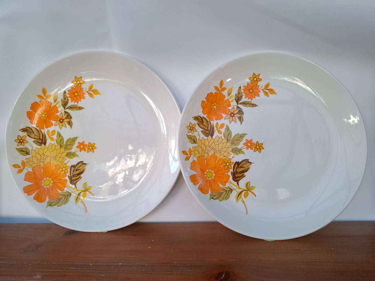 Pair of Crown Lynn Fragrance Dinner Plates