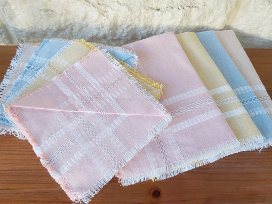 Beautiful Pastel Placemat & Napkin Set