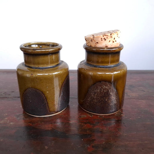 Pair of Retro Dark Olive Green Spice Jars